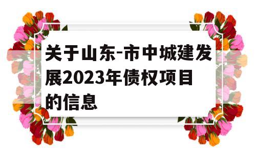 关于山东-市中城建发展2023年债权项目的信息