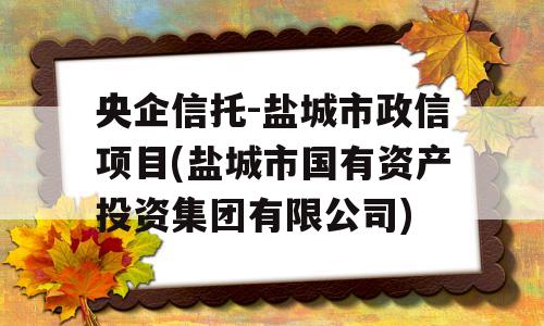 央企信托-盐城市政信项目(盐城市国有资产投资集团有限公司)