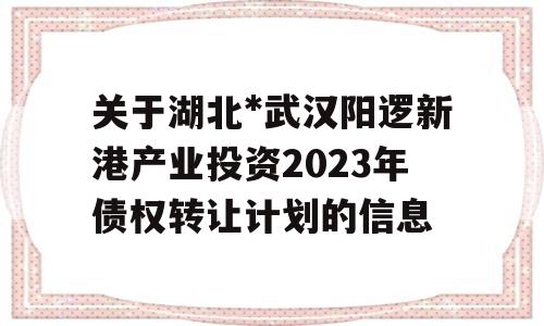 关于湖北*武汉阳逻新港产业投资2023年债权转让计划的信息