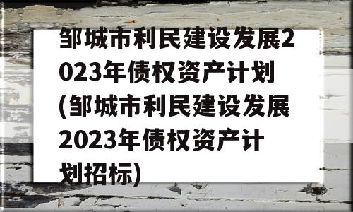 邹城市利民建设发展2023年债权资产计划(邹城市利民建设发展2023年债权资产计划招标)