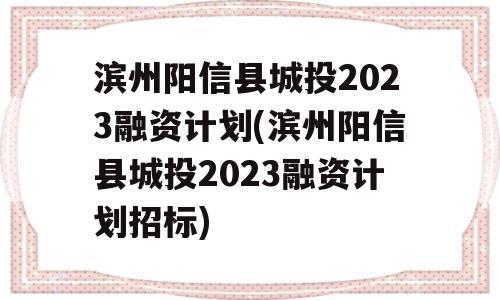 滨州阳信县城投2023融资计划(滨州阳信县城投2023融资计划招标)