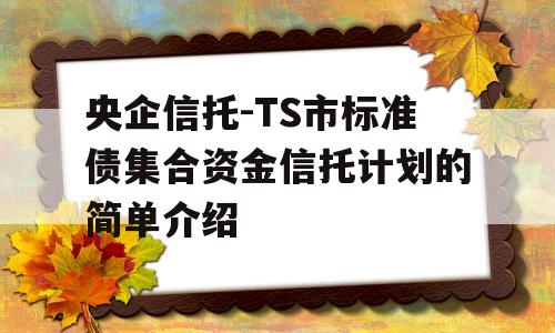 央企信托-TS市标准债集合资金信托计划的简单介绍