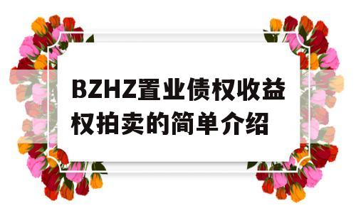 BZHZ置业债权收益权拍卖的简单介绍