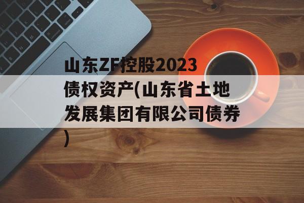 山东ZF控股2023债权资产(山东省土地发展集团有限公司债券)