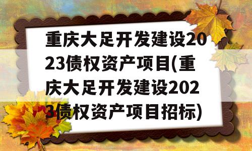 重庆大足开发建设2023债权资产项目(重庆大足开发建设2023债权资产项目招标)