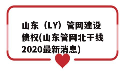 山东（LY）管网建设债权(山东管网北干线2020最新消息)