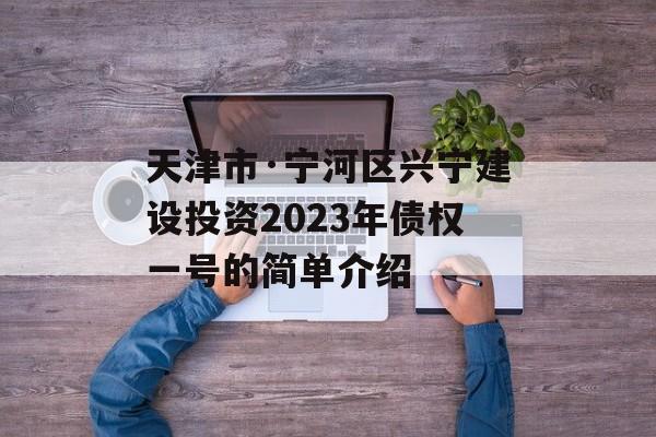 天津市·宁河区兴宁建设投资2023年债权一号的简单介绍