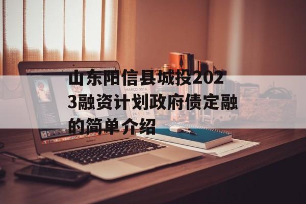 山东阳信县城投2023融资计划政府债定融的简单介绍