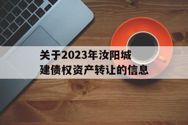 关于2023年汝阳城建债权资产转让的信息