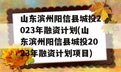 山东滨州阳信县城投2023年融资计划(山东滨州阳信县城投2023年融资计划项目)