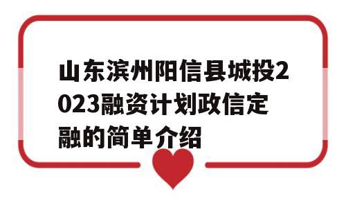 山东滨州阳信县城投2023融资计划政信定融的简单介绍