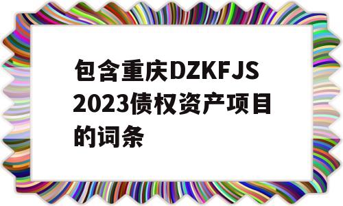 包含重庆DZKFJS2023债权资产项目的词条