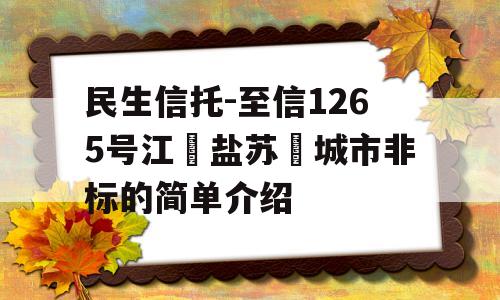 民生信托-至信1265号江‮盐苏‬城市非标的简单介绍