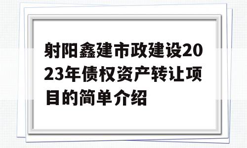 射阳鑫建市政建设2023年债权资产转让项目的简单介绍