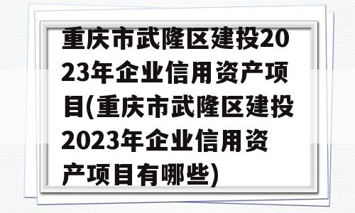 重庆市武隆区建投2023年企业信用资产项目(重庆市武隆区建投2023年企业信用资产项目有哪些)