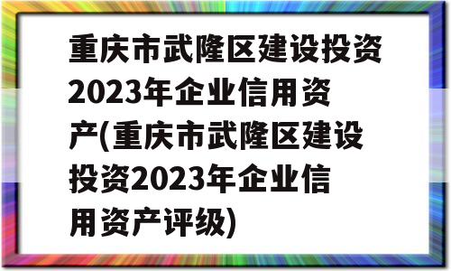 重庆市武隆区建设投资2023年企业信用资产(重庆市武隆区建设投资2023年企业信用资产评级)