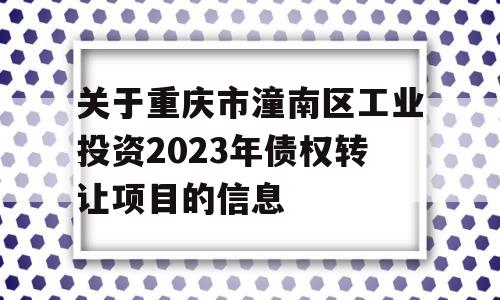 关于重庆市潼南区工业投资2023年债权转让项目的信息