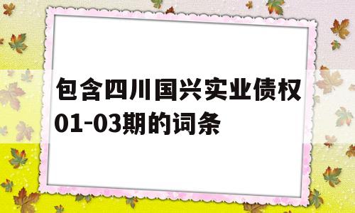 包含四川国兴实业债权01-03期的词条