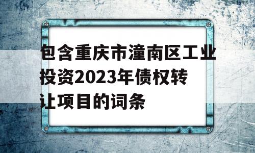 包含重庆市潼南区工业投资2023年债权转让项目的词条