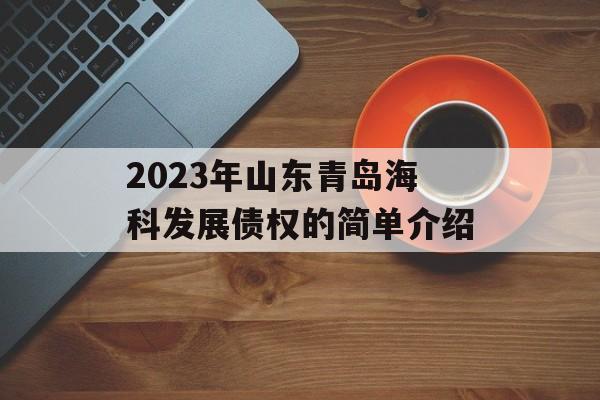 2023年山东青岛海科发展债权的简单介绍