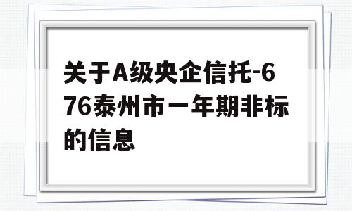 关于A级央企信托-676泰州市一年期非标的信息