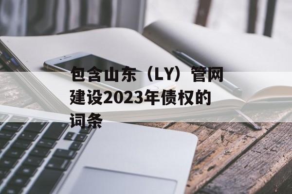 包含山东（LY）管网建设2023年债权的词条