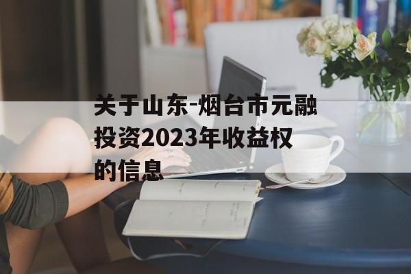 关于山东-烟台市元融投资2023年收益权的信息