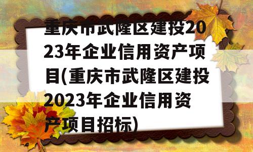 重庆市武隆区建投2023年企业信用资产项目(重庆市武隆区建投2023年企业信用资产项目招标)