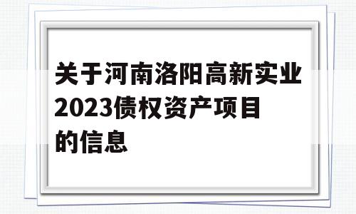 关于河南洛阳高新实业2023债权资产项目的信息