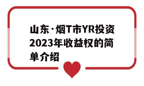 山东·烟T市YR投资2023年收益权的简单介绍