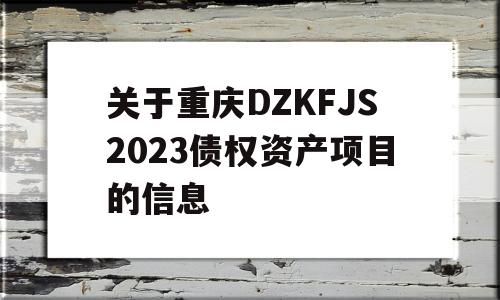 关于重庆DZKFJS2023债权资产项目的信息