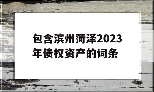 包含滨州菏泽2023年债权资产的词条