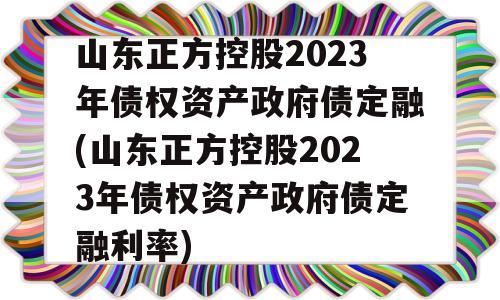 山东正方控股2023年债权资产政府债定融(山东正方控股2023年债权资产政府债定融利率)