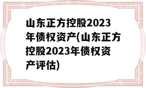 山东正方控股2023年债权资产(山东正方控股2023年债权资产评估)