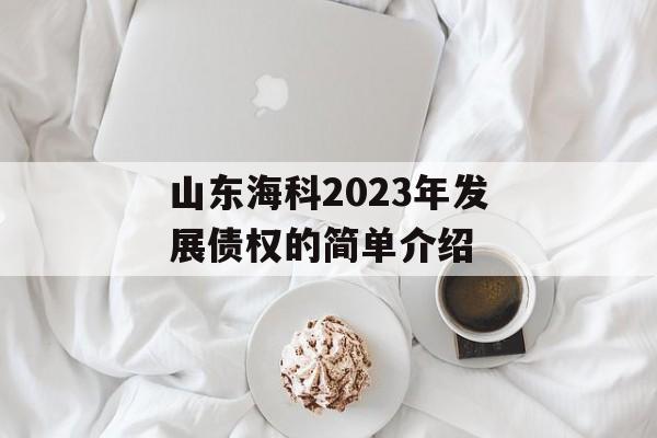 山东海科2023年发展债权的简单介绍