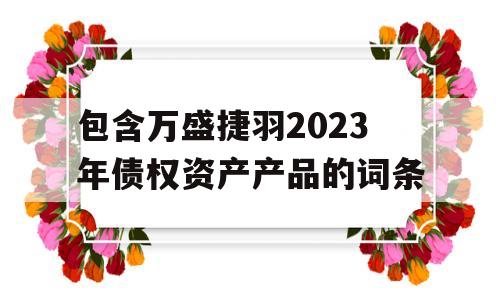 包含万盛捷羽2023年债权资产产品的词条