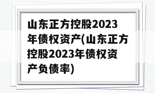 山东正方控股2023年债权资产(山东正方控股2023年债权资产负债率)