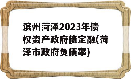 滨州菏泽2023年债权资产政府债定融(菏泽市政府负债率)