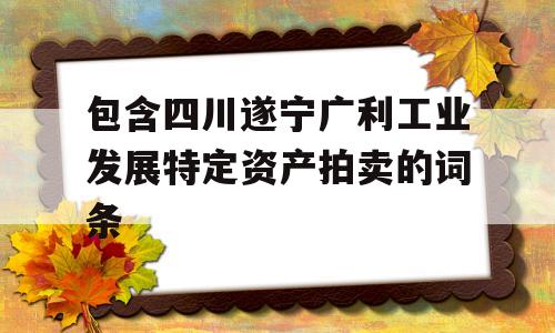 包含四川遂宁广利工业发展特定资产拍卖的词条