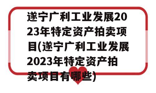 遂宁广利工业发展2023年特定资产拍卖项目(遂宁广利工业发展2023年特定资产拍卖项目有哪些)