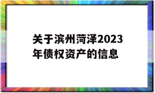 关于滨州菏泽2023年债权资产的信息