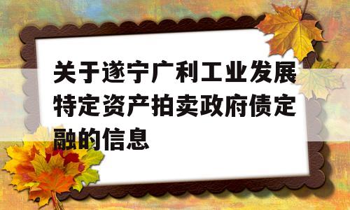 关于遂宁广利工业发展特定资产拍卖政府债定融的信息