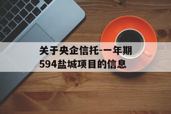 关于央企信托-一年期594盐城项目的信息