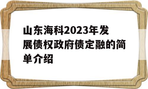 山东海科2023年发展债权政府债定融的简单介绍