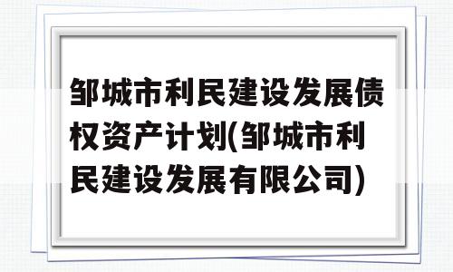 邹城市利民建设发展债权资产计划(邹城市利民建设发展有限公司)