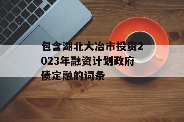 包含湖北大冶市投资2023年融资计划政府债定融的词条