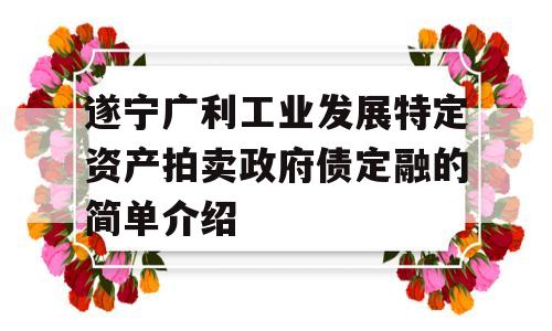 遂宁广利工业发展特定资产拍卖政府债定融的简单介绍