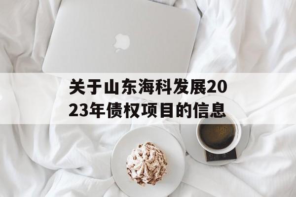 关于山东海科发展2023年债权项目的信息