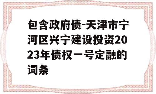 包含政府债-天津市宁河区兴宁建设投资2023年债权一号定融的词条