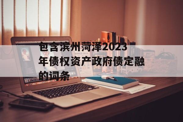 包含滨州菏泽2023年债权资产政府债定融的词条